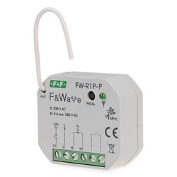 FW-R1P-P