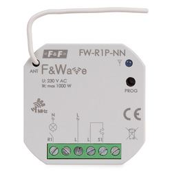 FW-R1P-NN