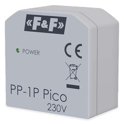 PP-1P Pico